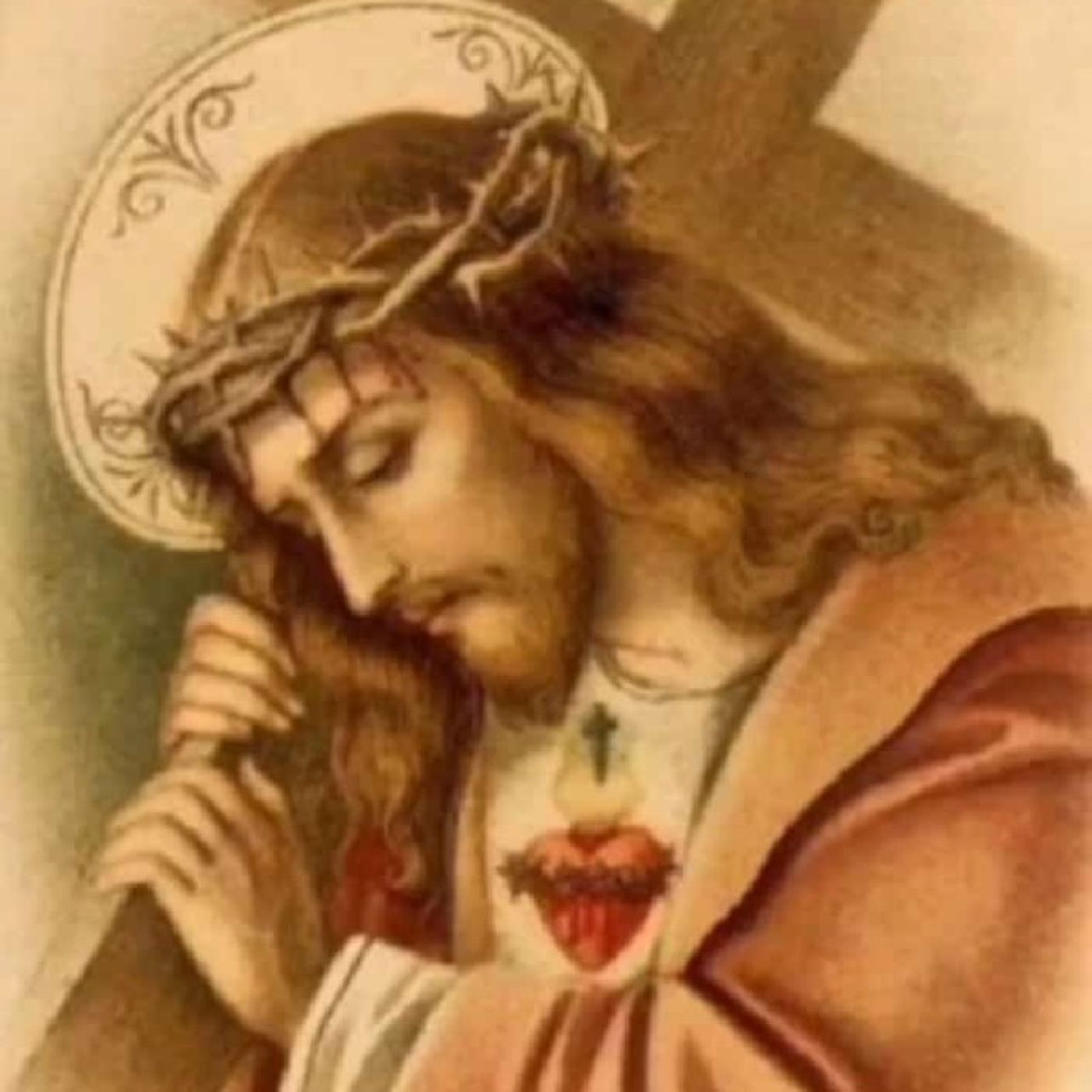 La Reflexión del Día "Jesús crucificado en la Hostia Santa y los hermanos" episode artwork
