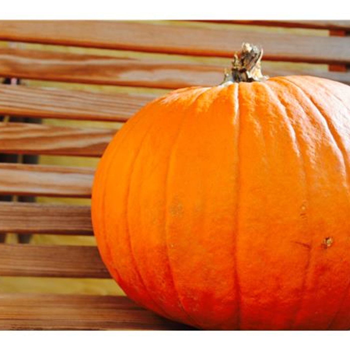What's your halloween diy? Join us for tools, pumpkins & awesome episode artwork