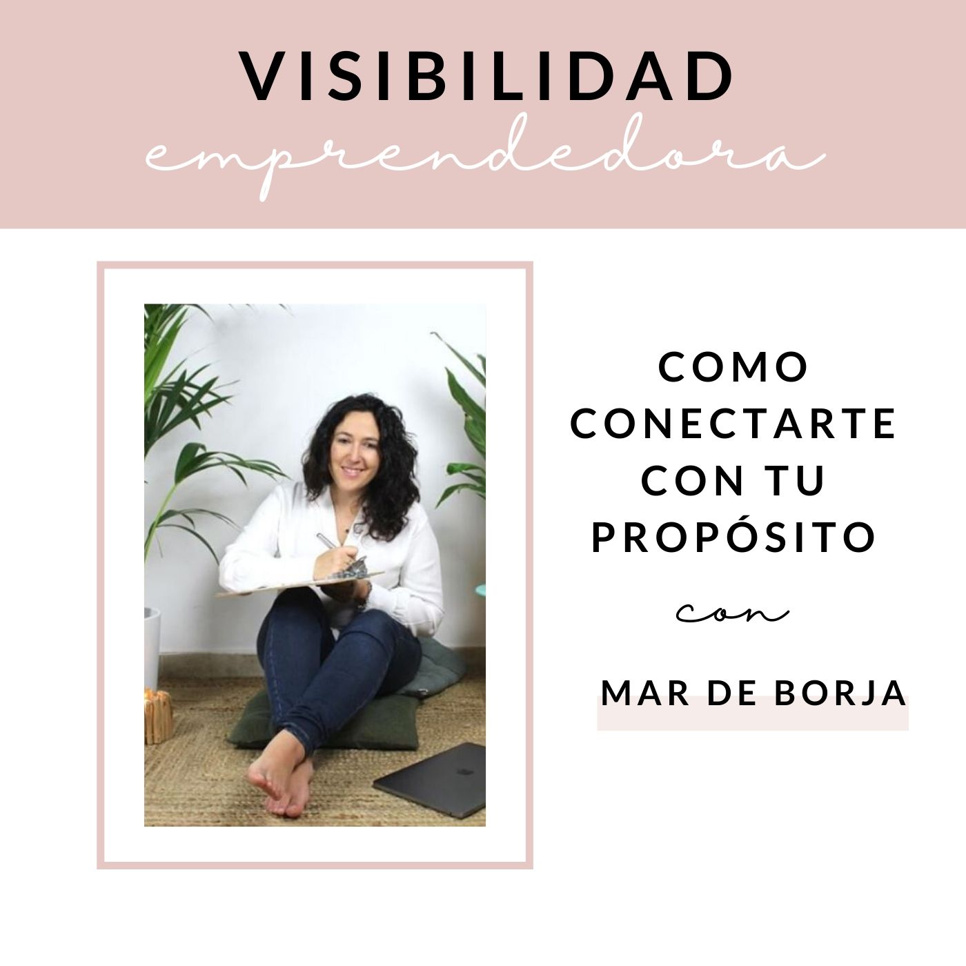 Visibilidad Emprendedora
