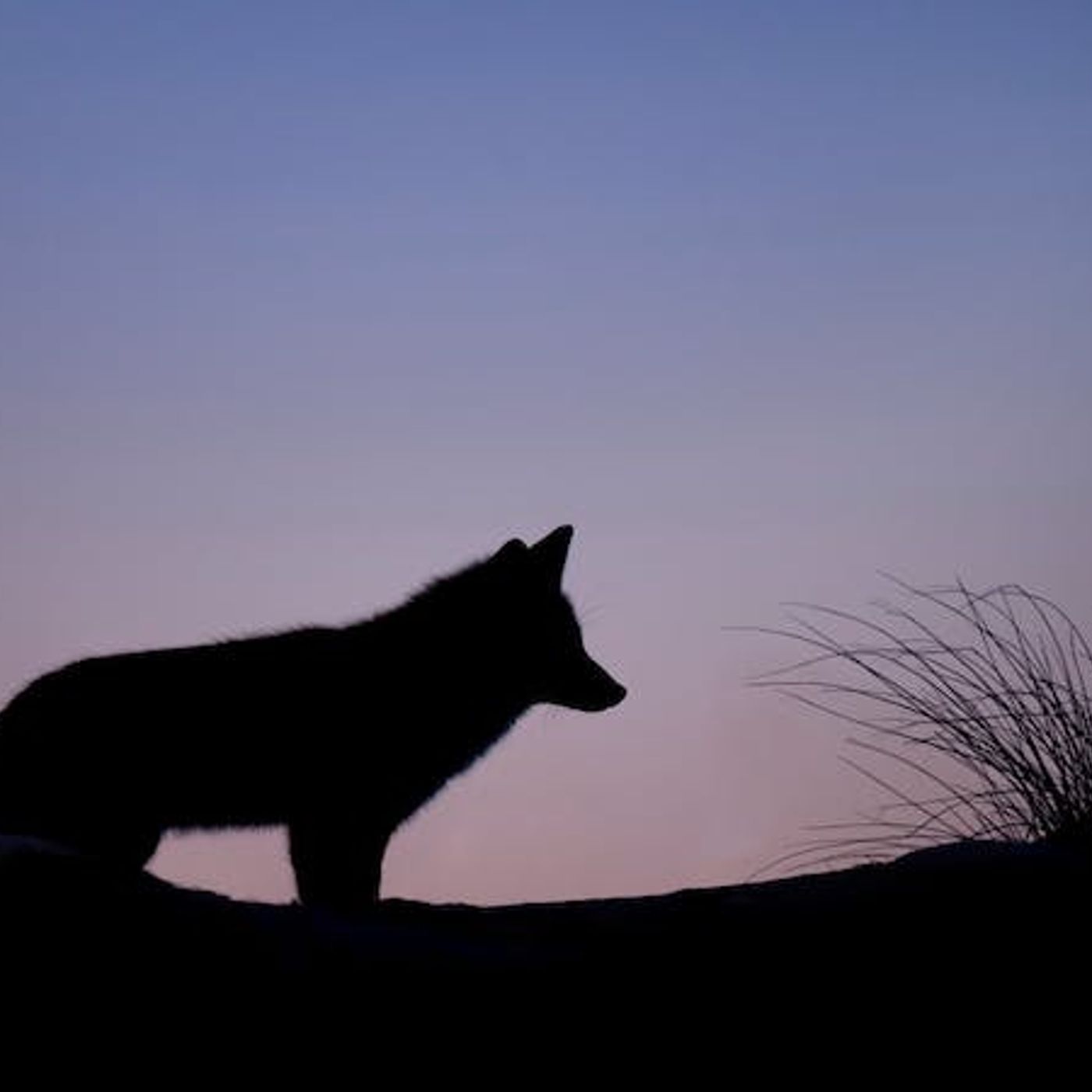 Should We Call Out False Teachers or Ignore Them?