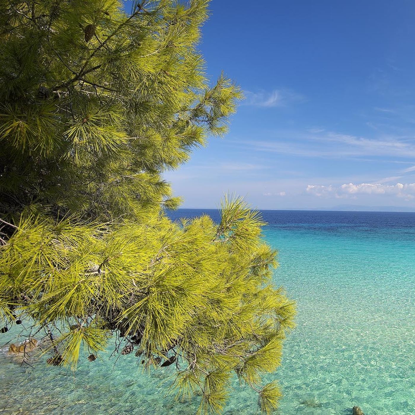 Vacanze alla radio