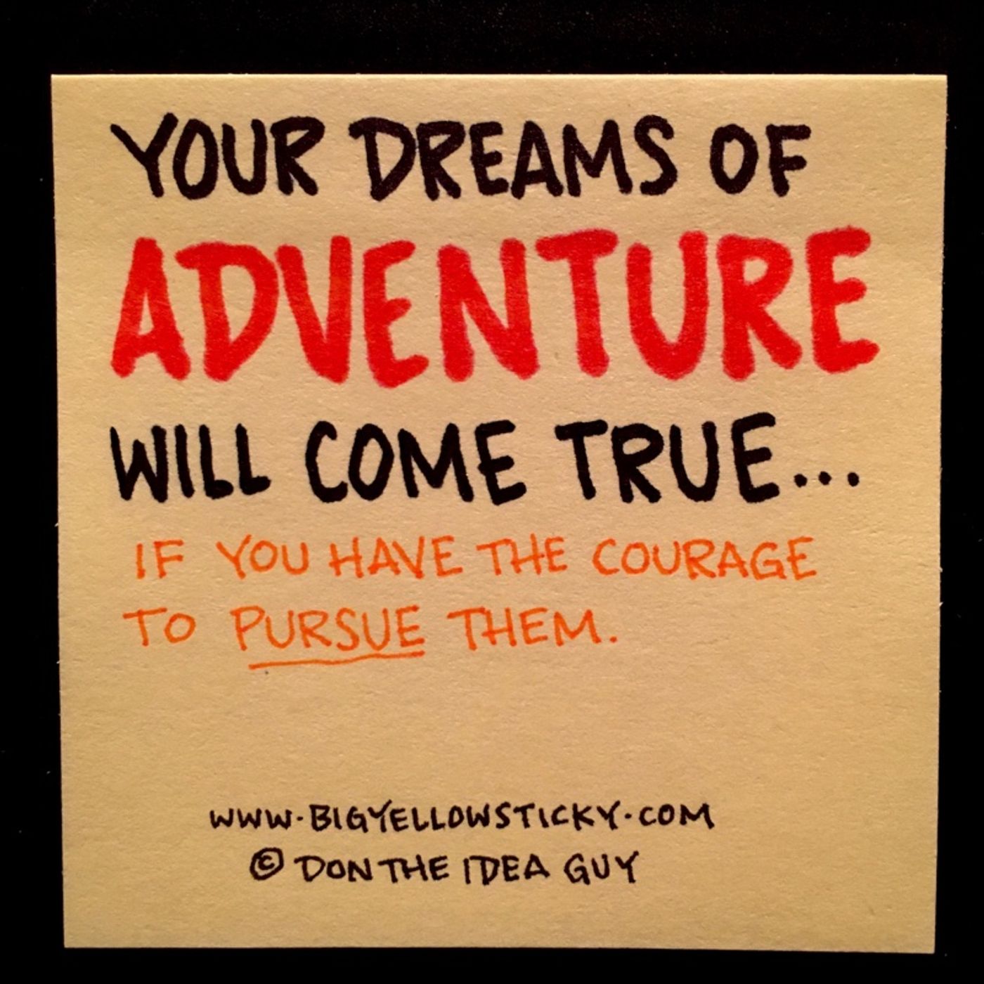 Pursue Adventure : BYS 294