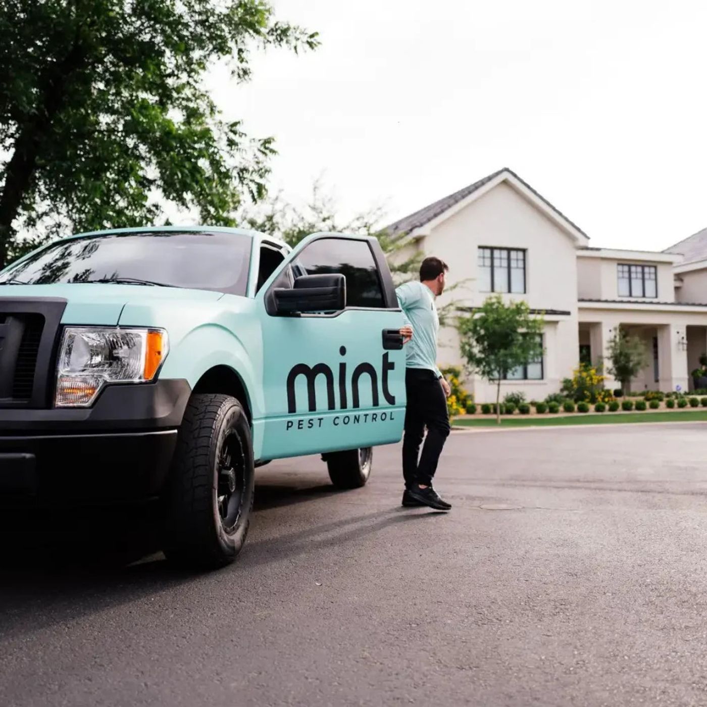 Pest Control Louisville | Mint Pest Control (502) 754-4277