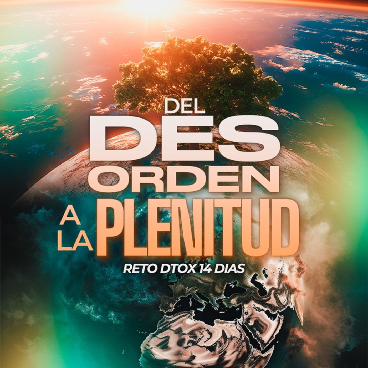 Del Desorden a la Plenitud