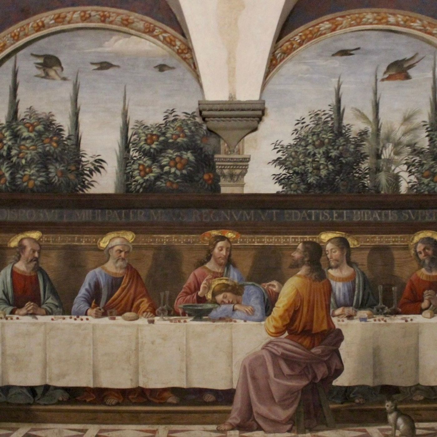 La missione di far amare l'Eucaristia. Vangelo e omelia | 17ª Domenica 240728 episode artwork