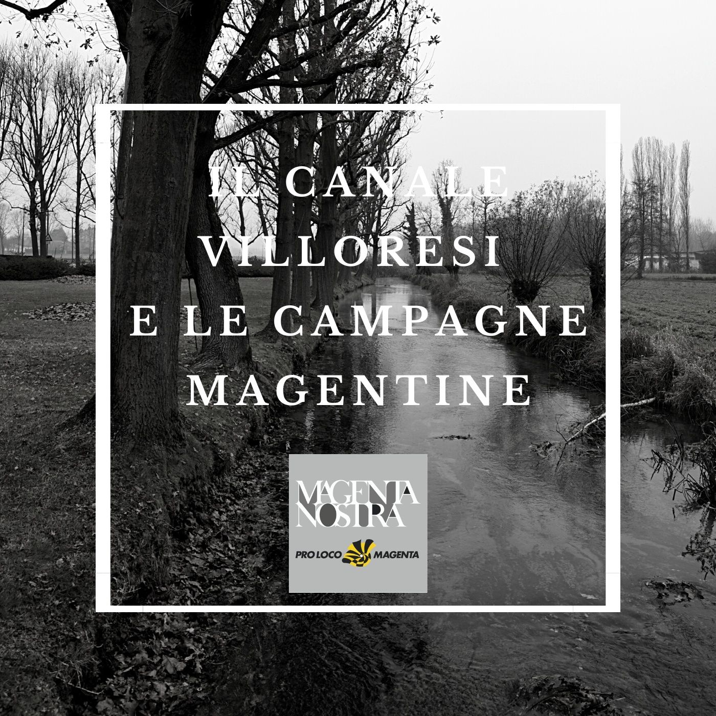 Magenta Nostra