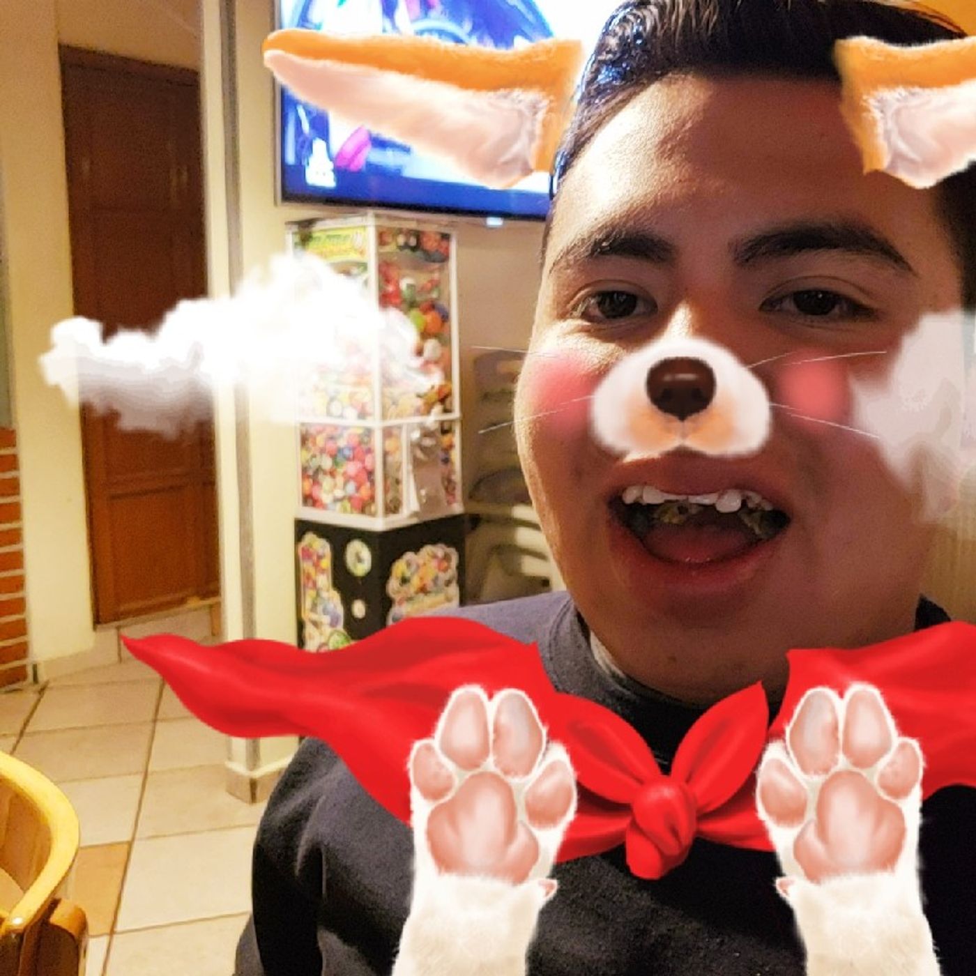 Anim------------ando