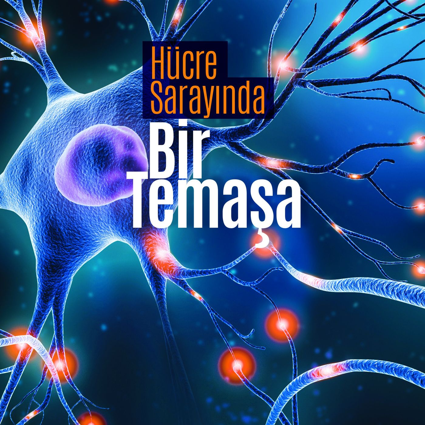 Hücre Sarayında Bir Temaşa episode artwork