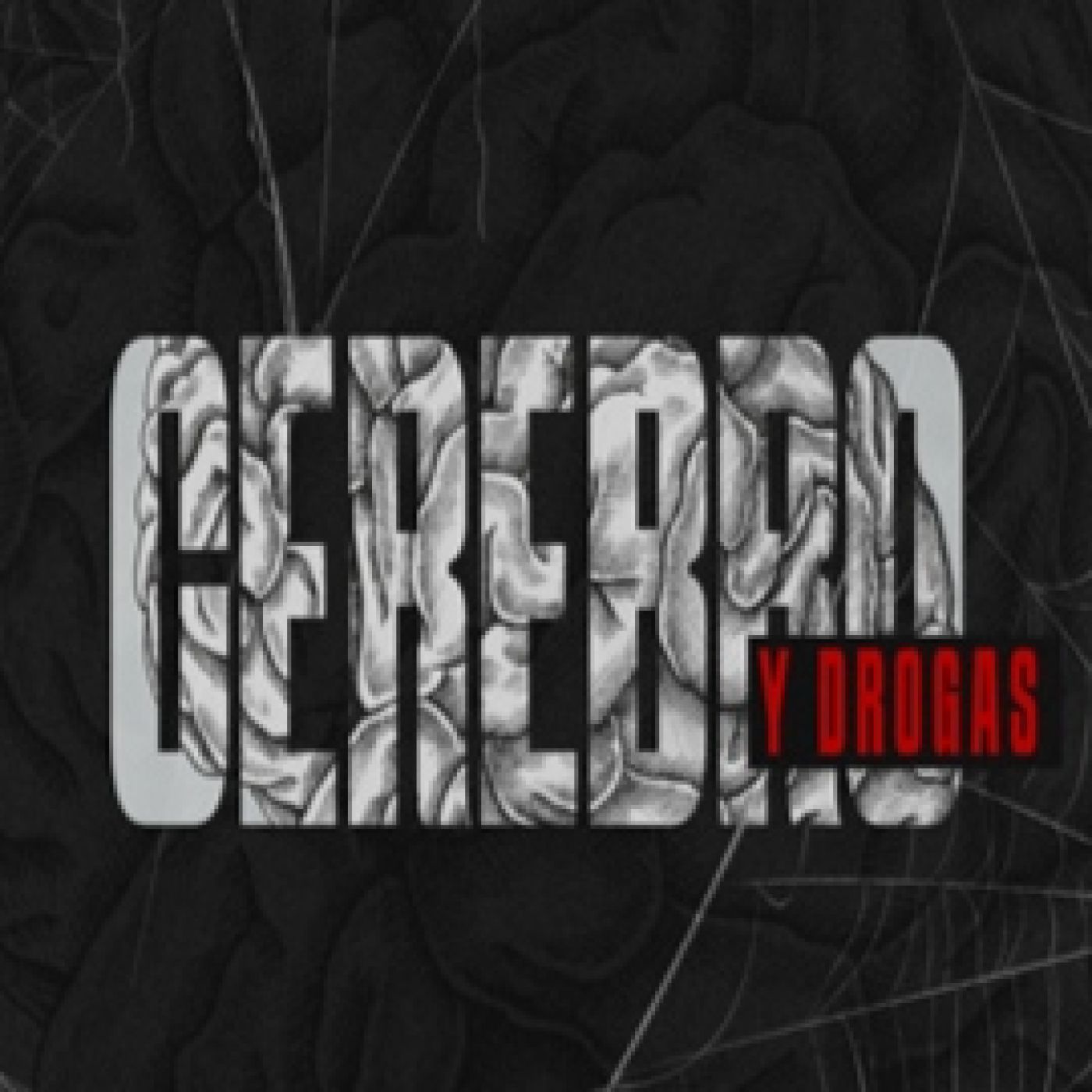 Cuarto Milenio (Oficial)