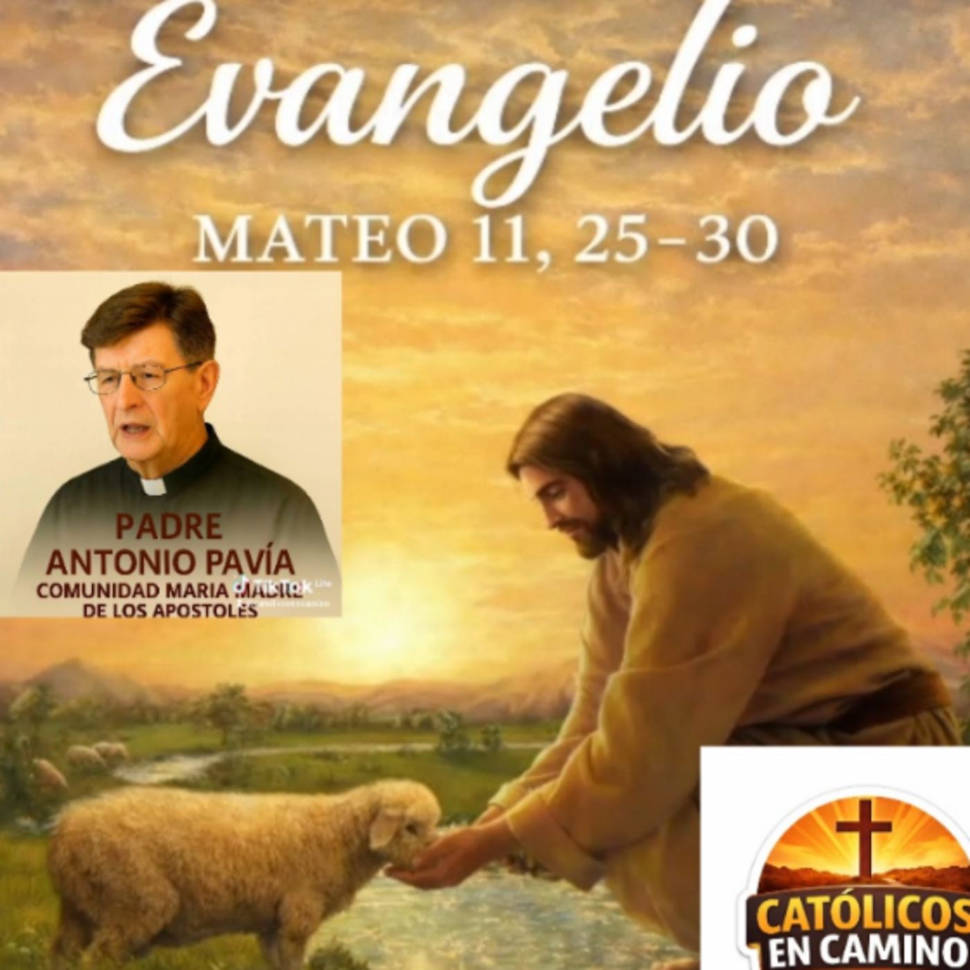 Evangelio del Domingo XIV 
del Tiempo Ordinario 
(Mt 11, 25-30)
Homilia Padre Antonio Pavía episode artwork