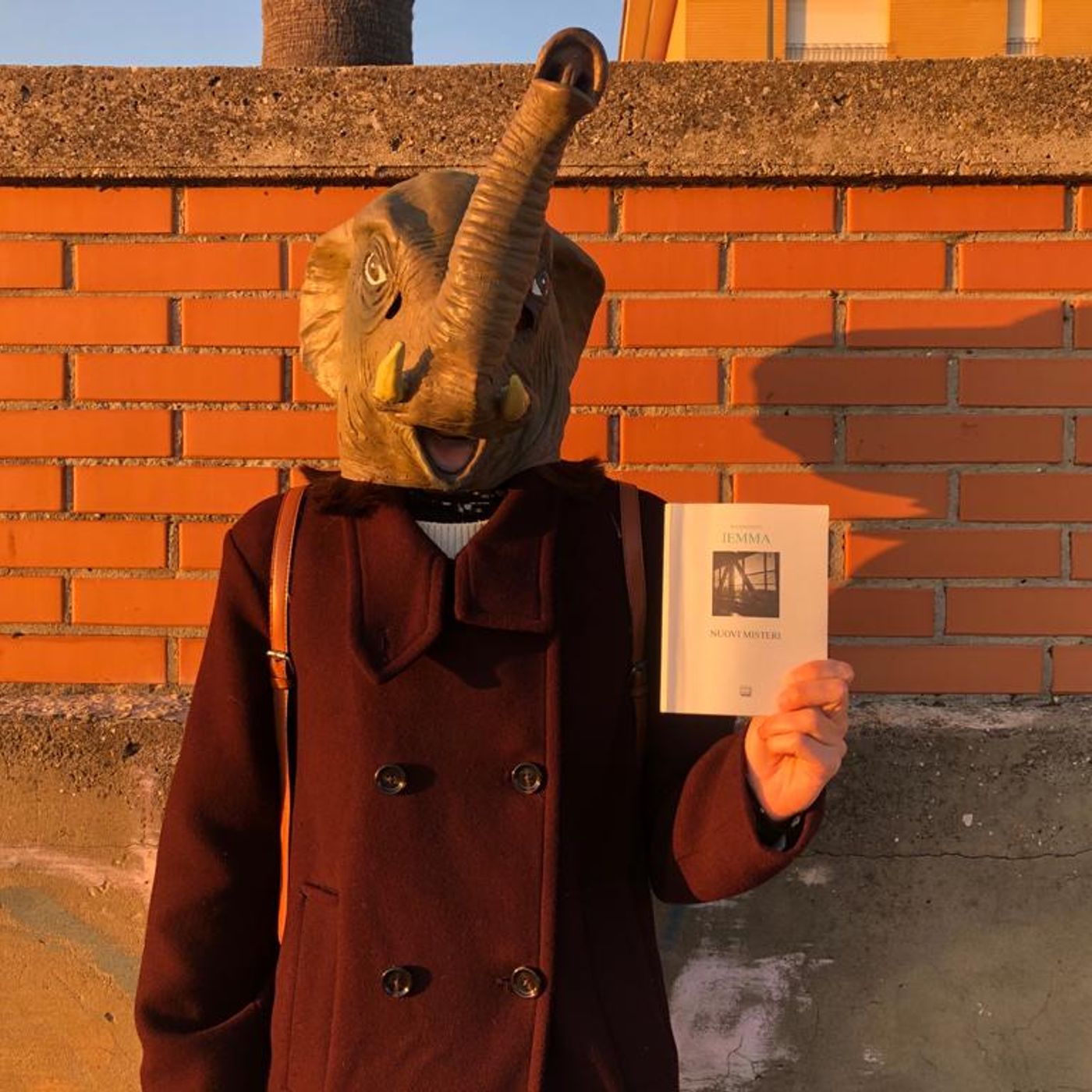 In rime sparse: il Podcast