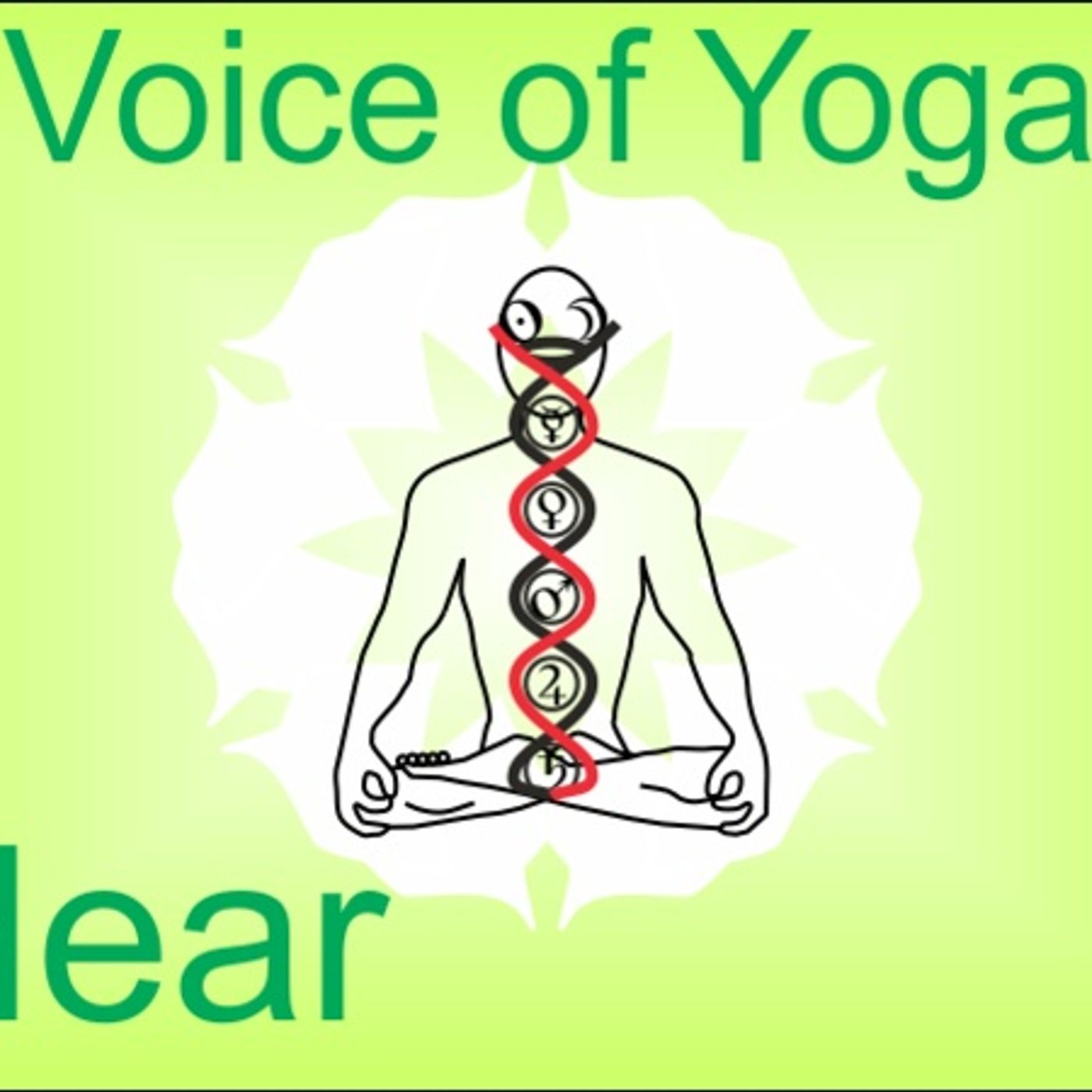 The Anatomy of a Divine Healing episode artwork