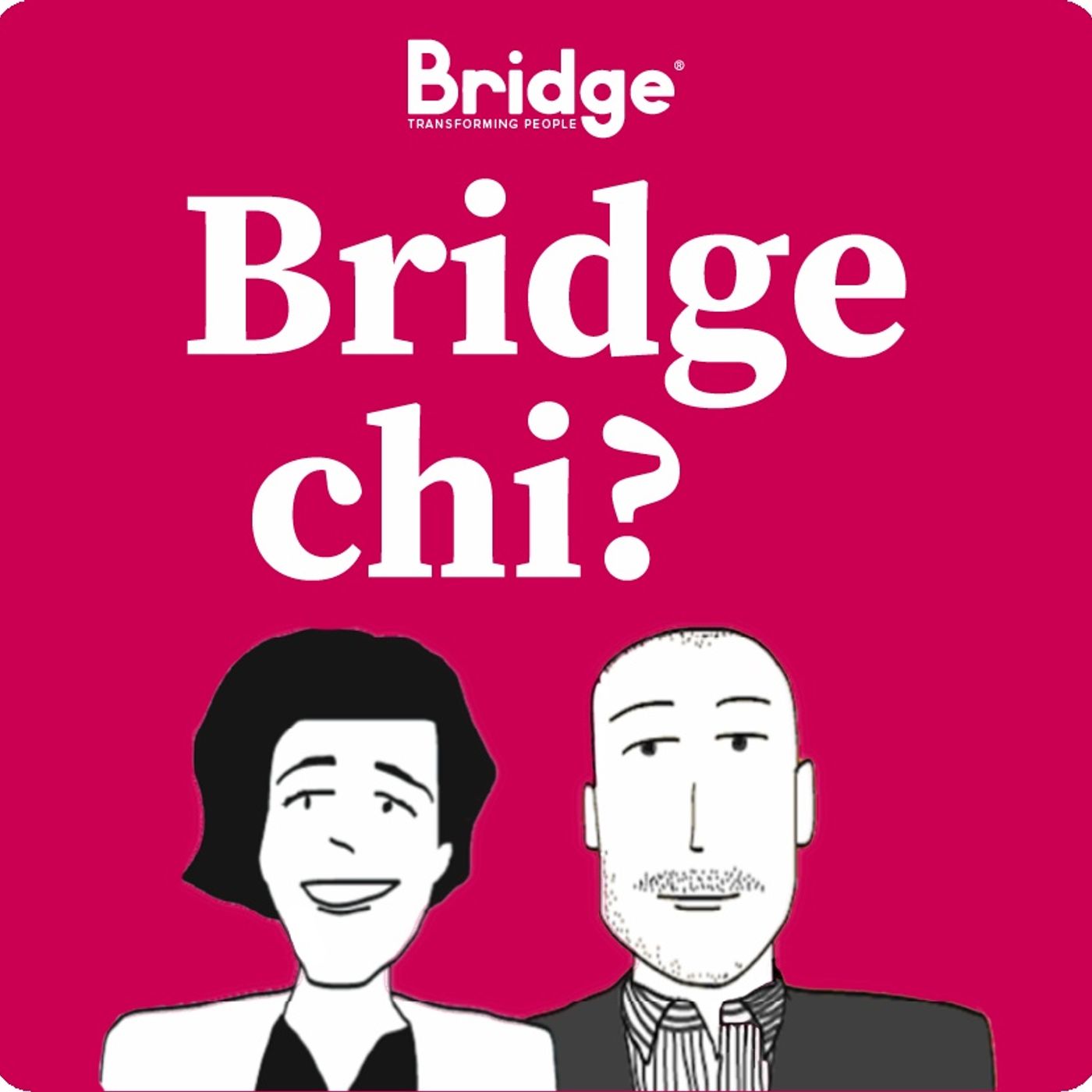 Bridge chi? La storia di Bridge Partners®