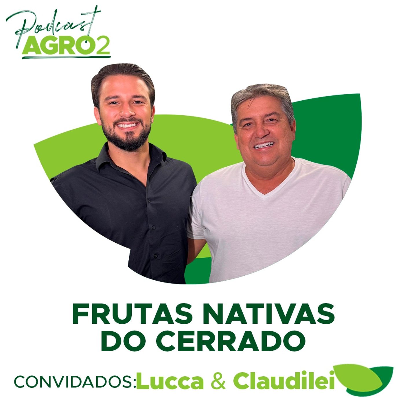 Do pé ao palito: como o cerrado vira picolé artesanal? #384 episode artwork