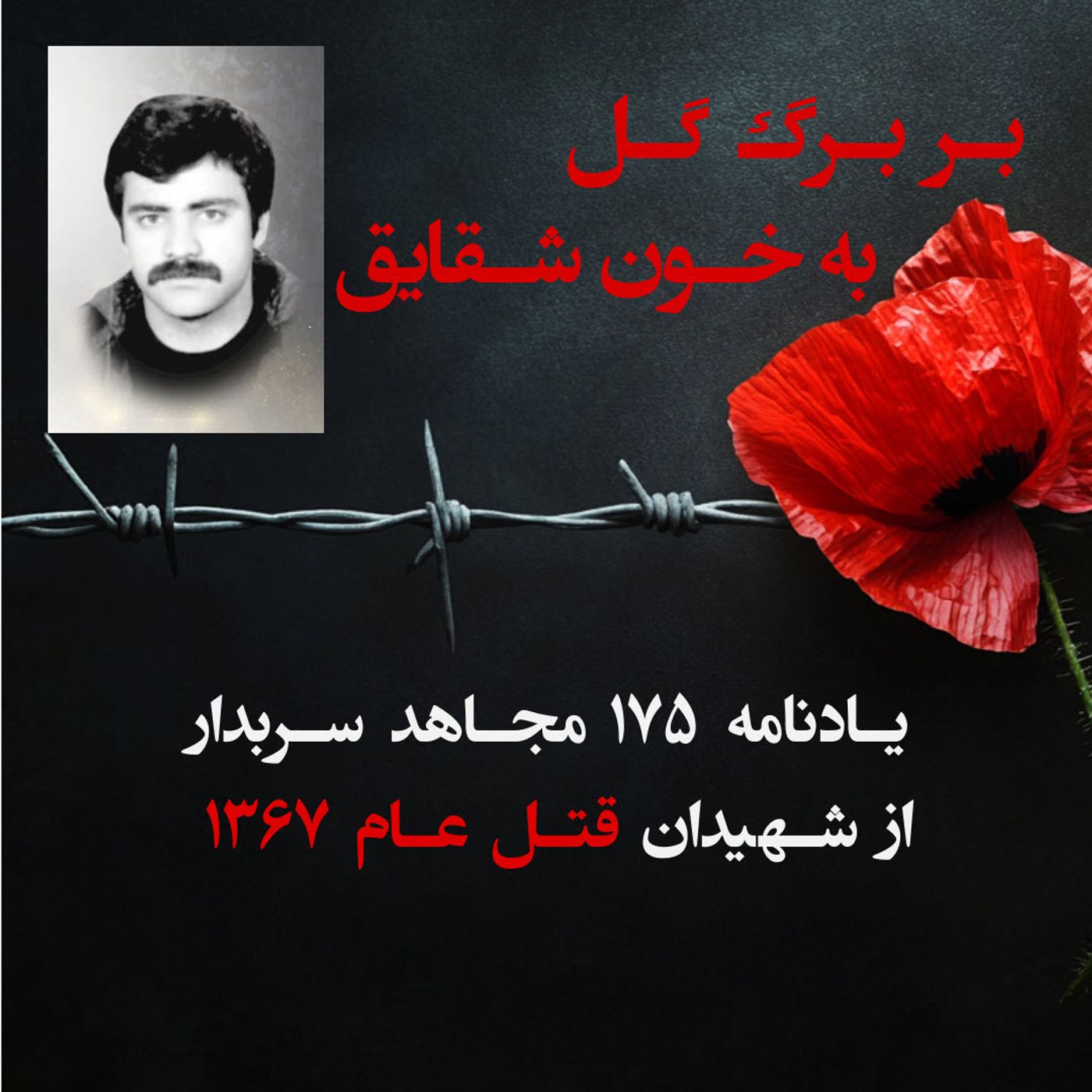 بربرگ گل به خون شقایق- پرویز سلیمی