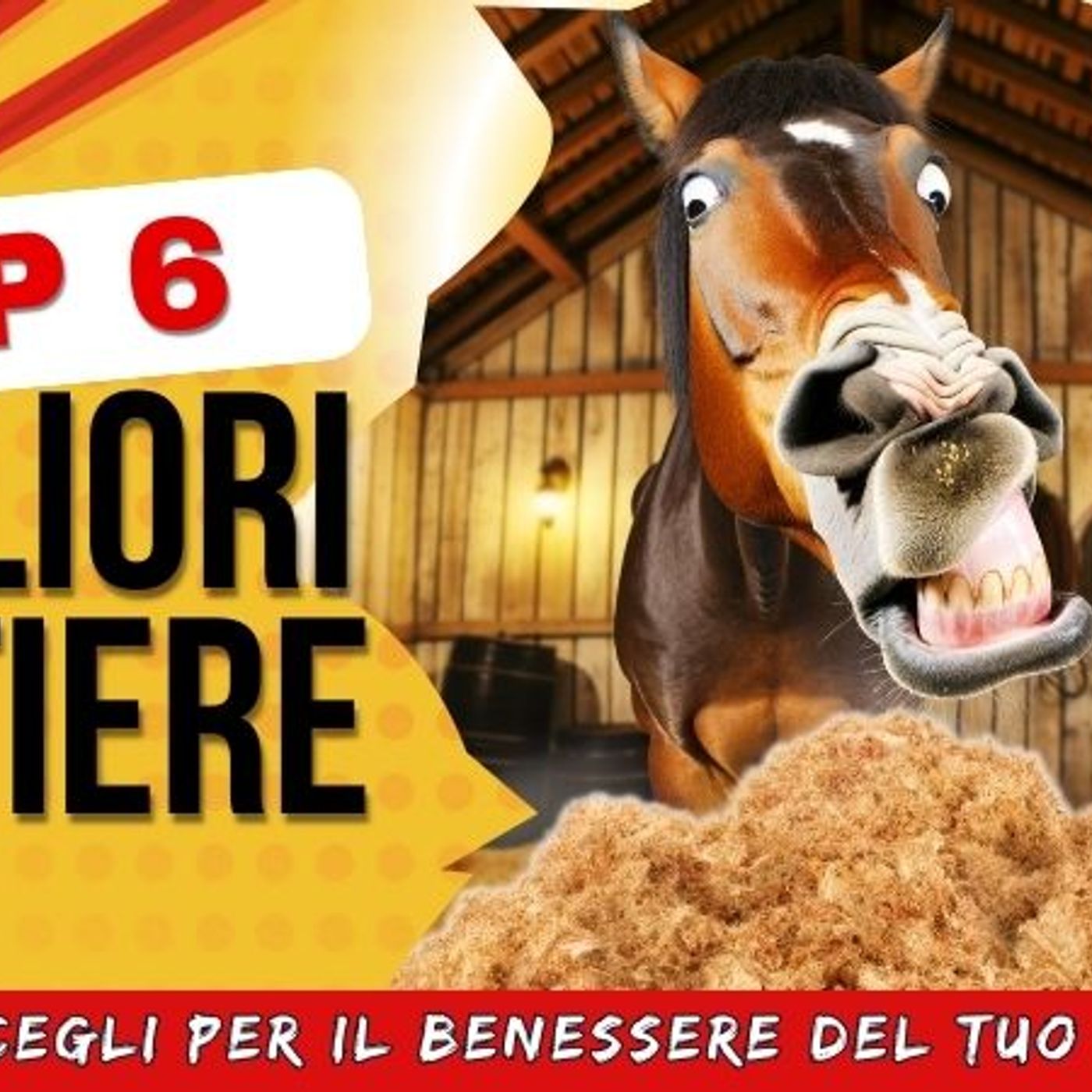 Matteoni Horsemanship