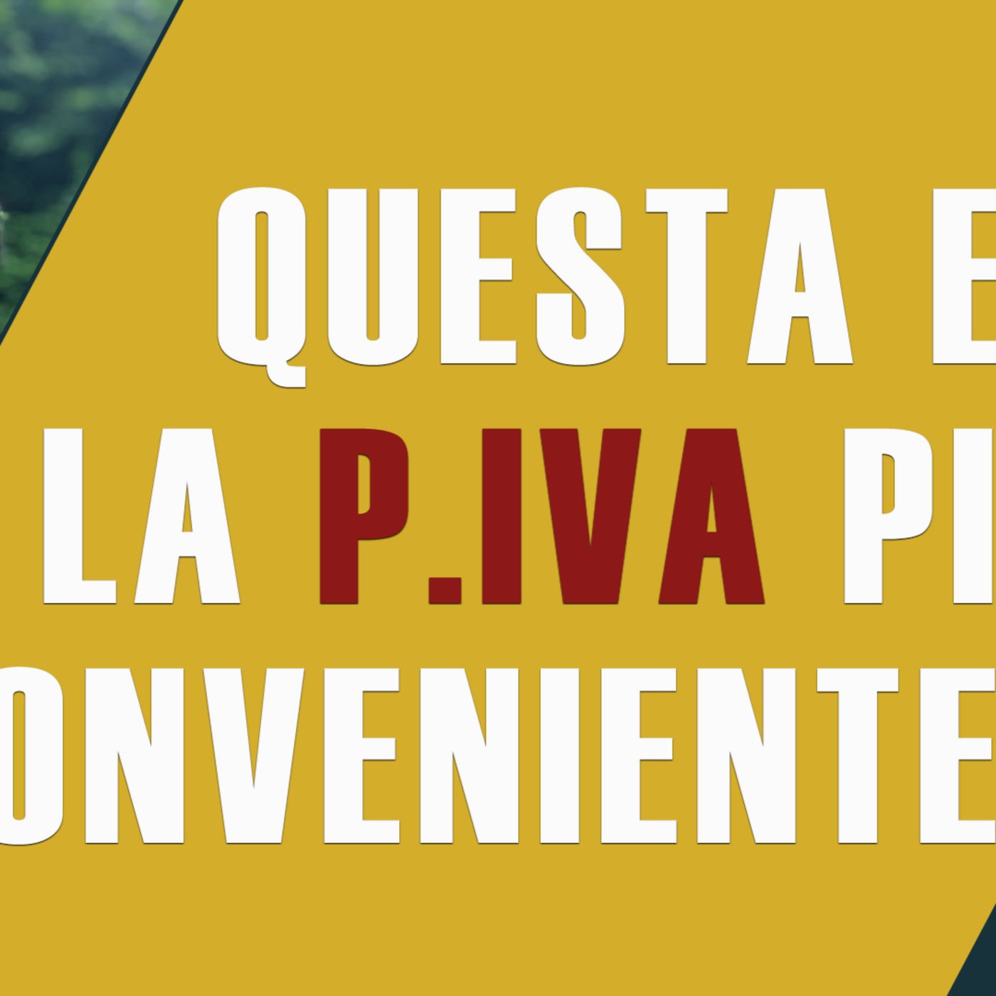 Qual è la Partita IVA Più Conveniente? episode artwork