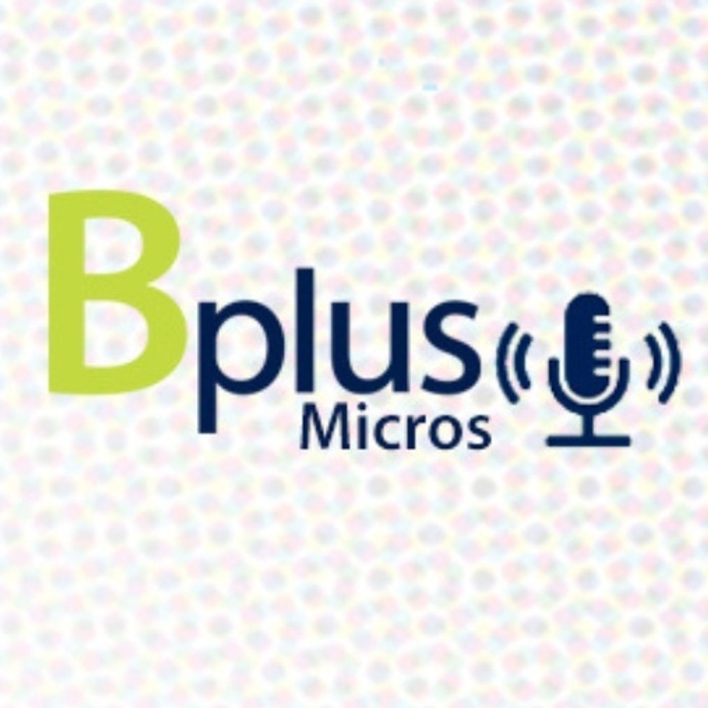 Micros Financieros Bplus
