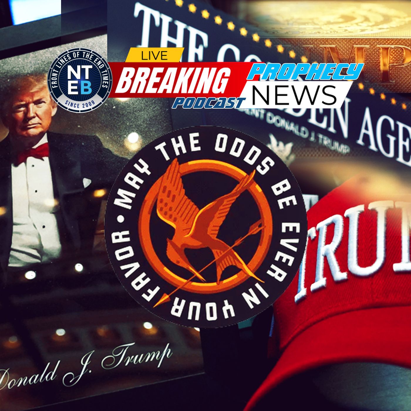 We Were Promised A ‘Golden Age For All Americans’ But They Gave Us The Hunger Games Instead episode artwork