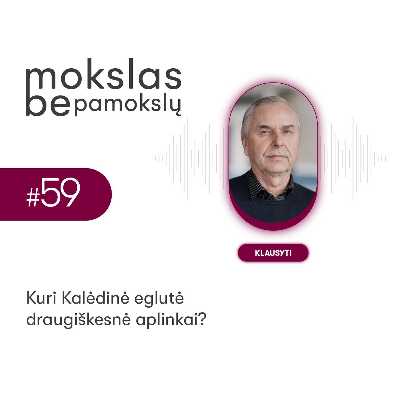 Mokslas be pamokslų. Kuri Kalėdų eglutė draugiškesnė aplinkai?