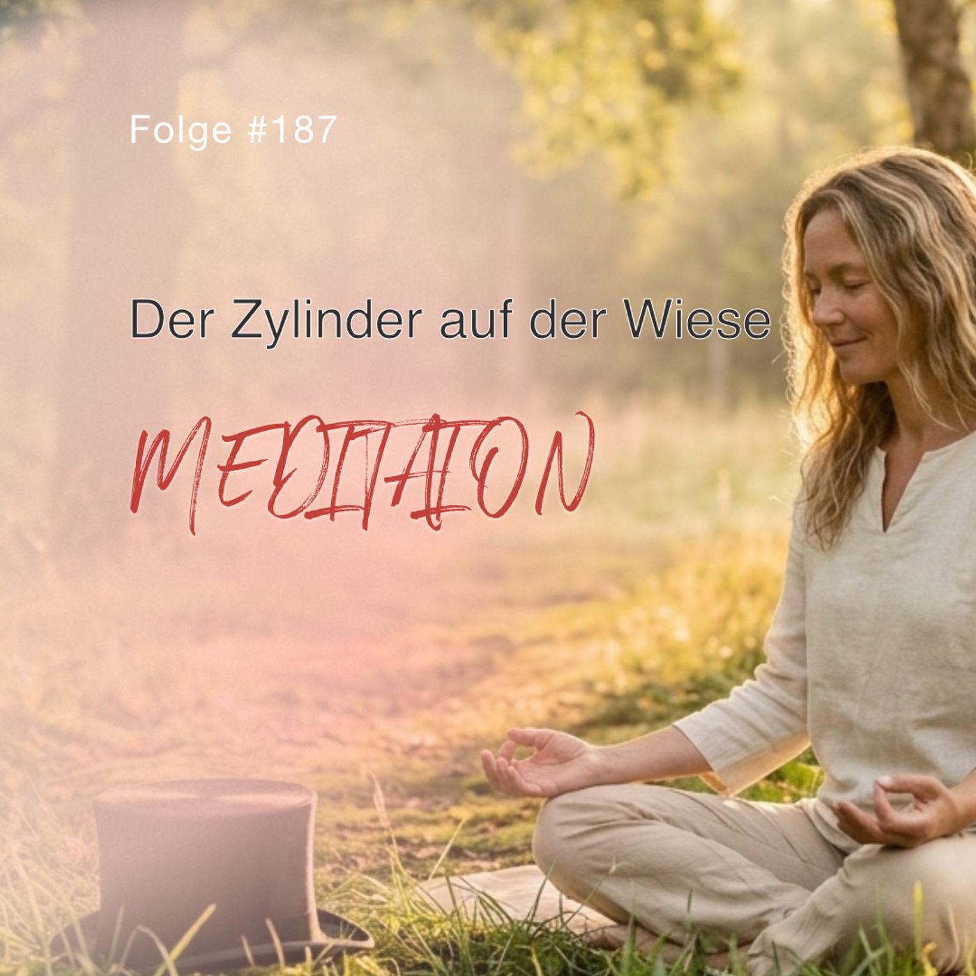 Der Zylinder auf der Wiese | ca. 25 Min | Folge 187 episode artwork