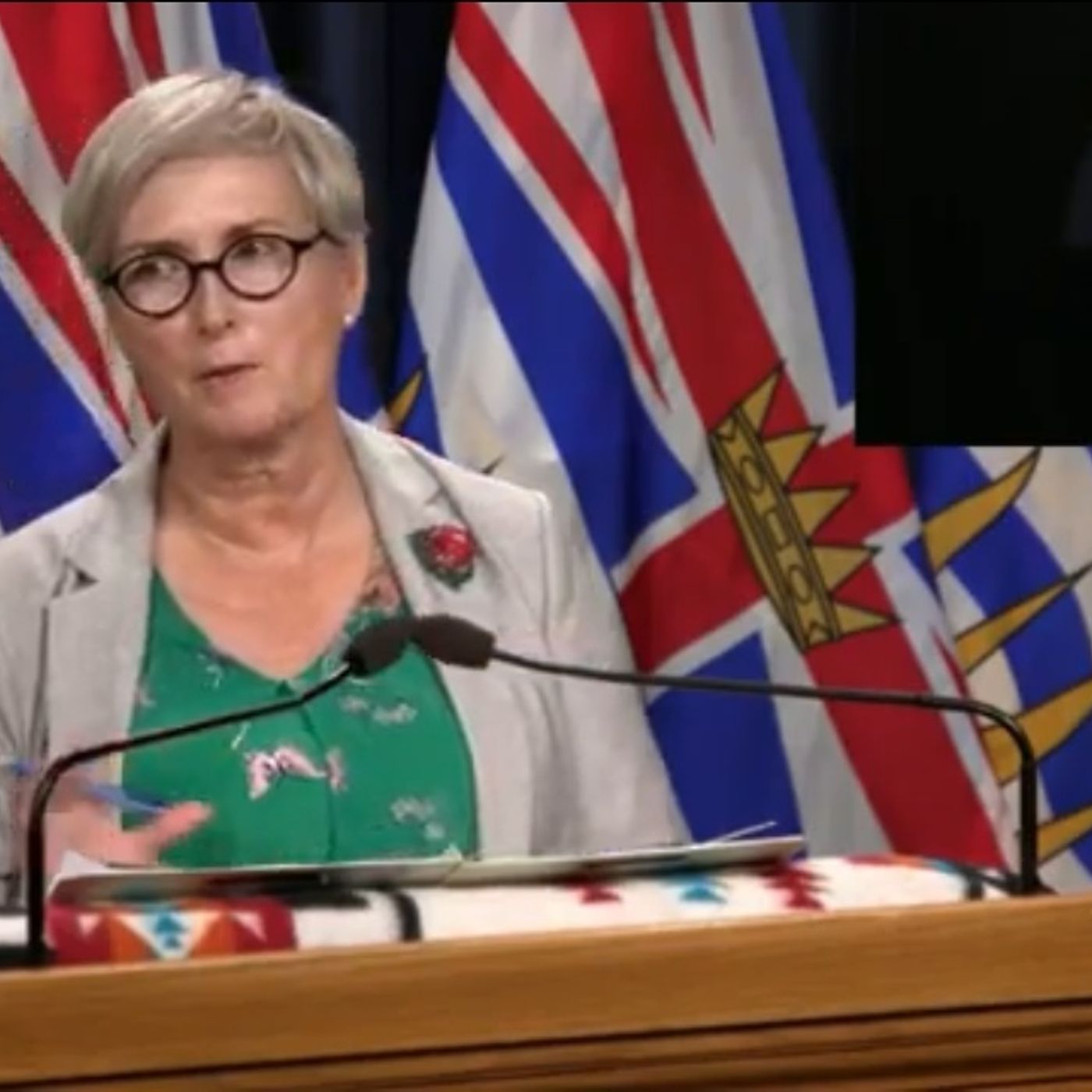 Policy and Rights Health Care Investigation Mary Ellen Turpel Lafond July 9