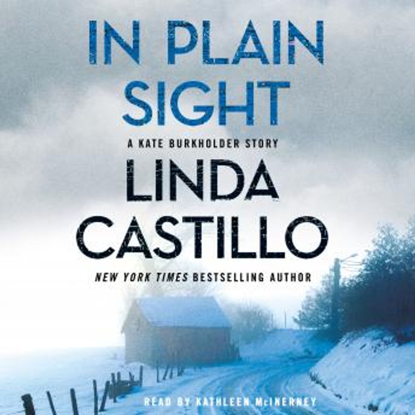 Listen to Full Audiobooks in Mystery, Thriller & Horror, Police & Detective