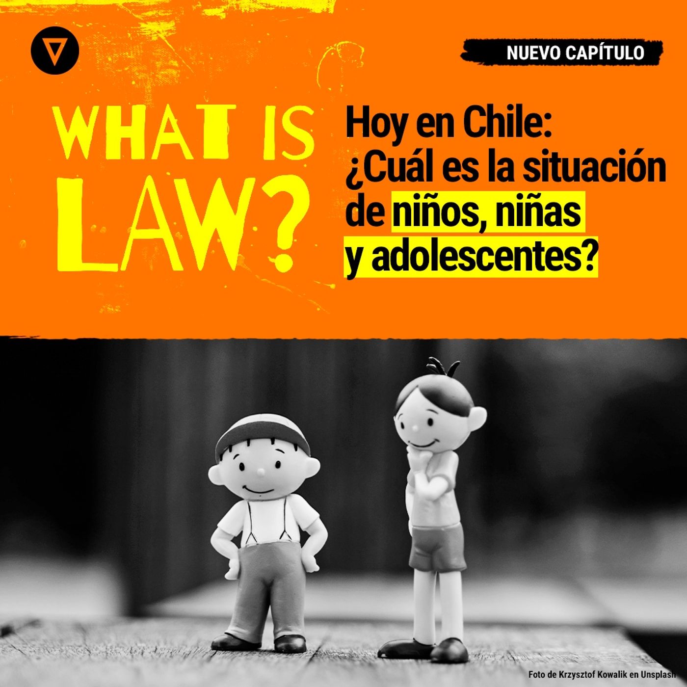Capítulo 26 - ¿Cuál es la situación de niños, niñas y adolescentes en Chile?