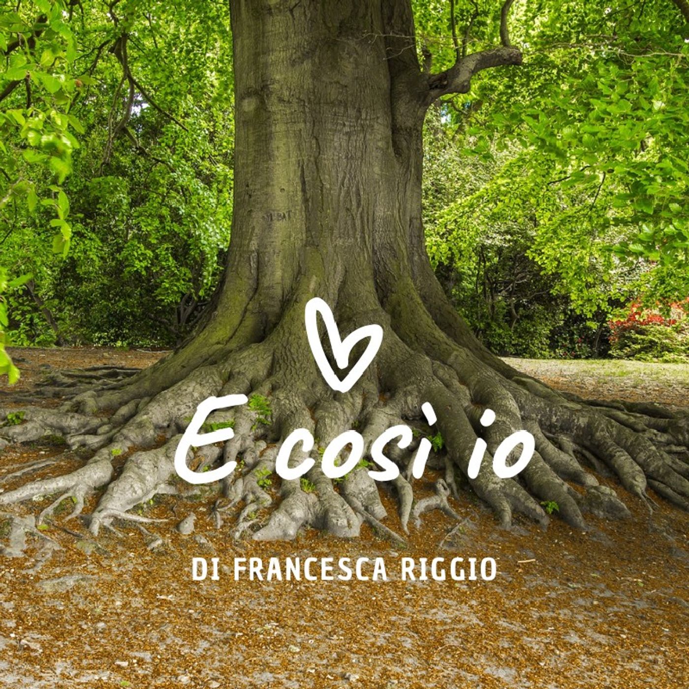 I podcast di Francesca Riggio