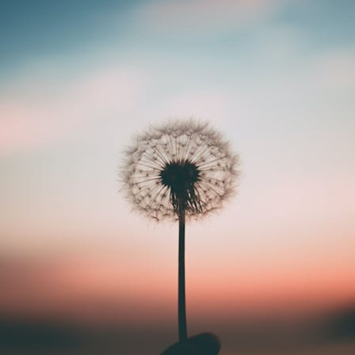 How Do I Find Freedom from Worry?