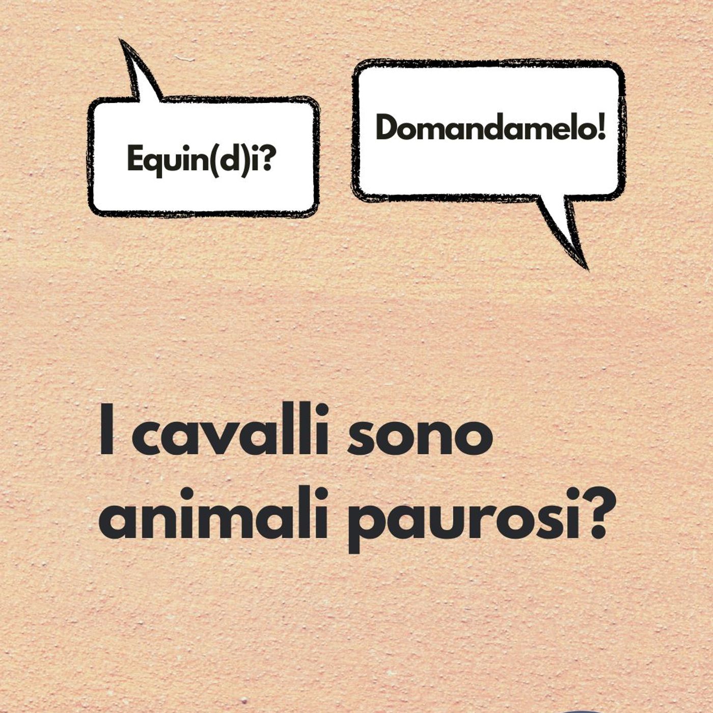 Etologia Equina, il comportamento del cavallo