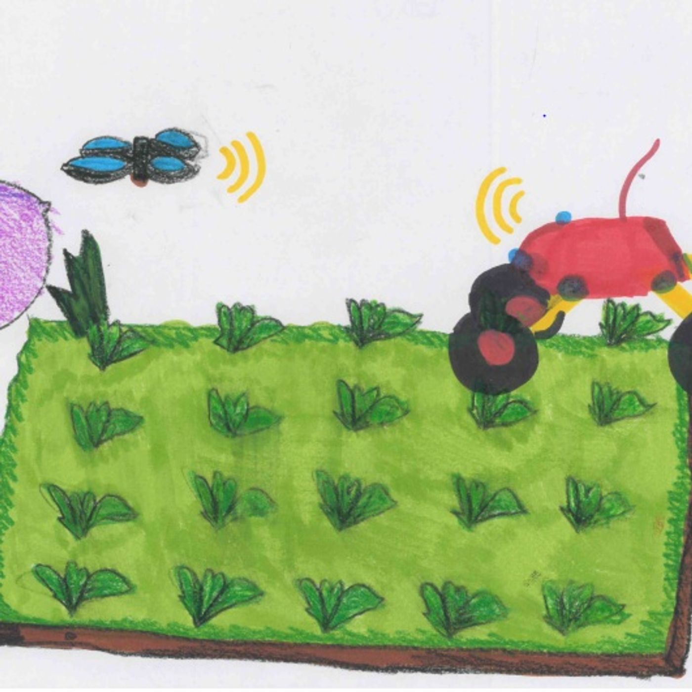 VIAGGIO NEL TEMPO CON L\'AGRICOLTURA