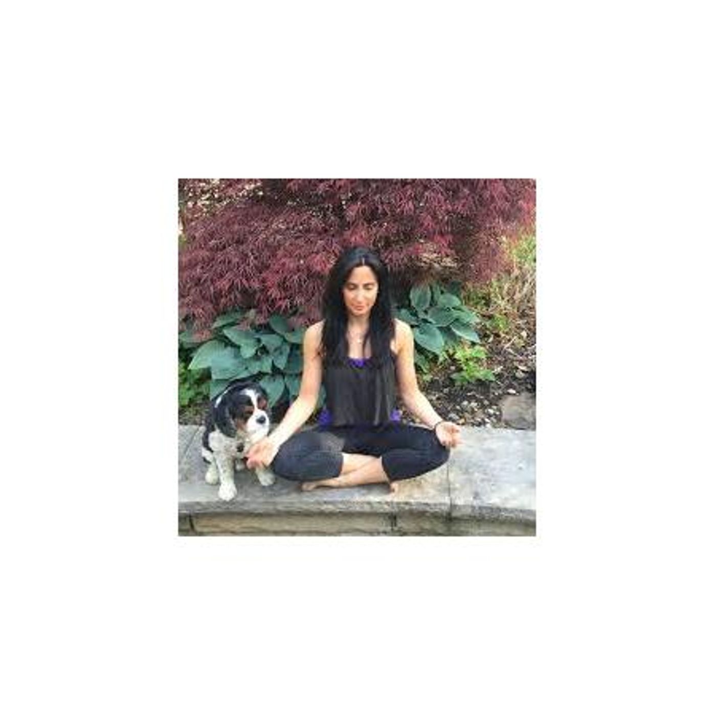 Wellness Radio with Dr. J