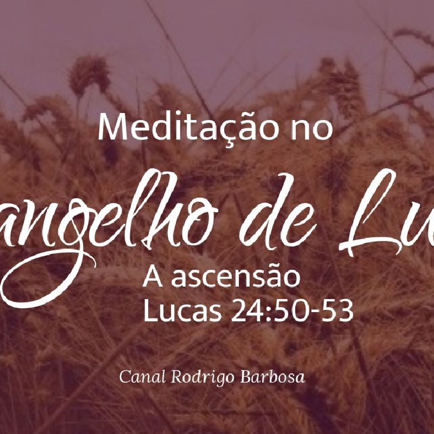 Rodrigo Barbosa
