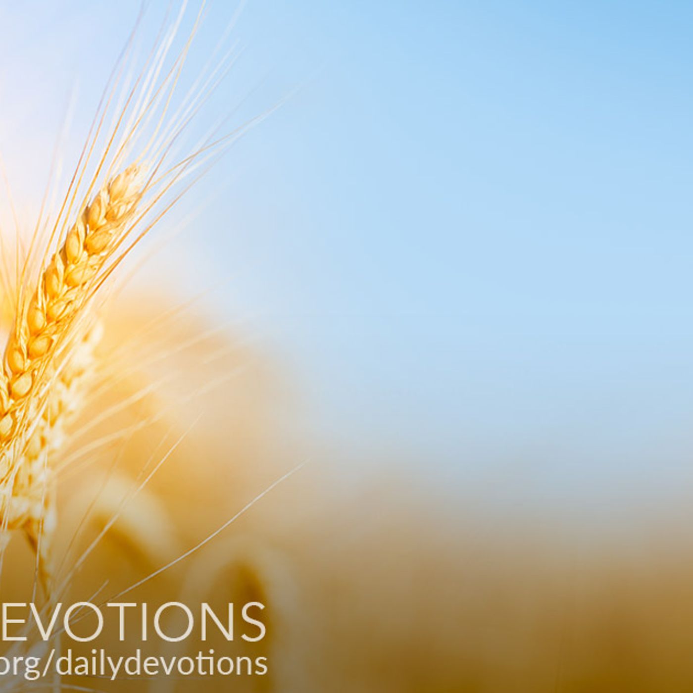 Daily Devotions - Hark, the Voice of Jesus Crying