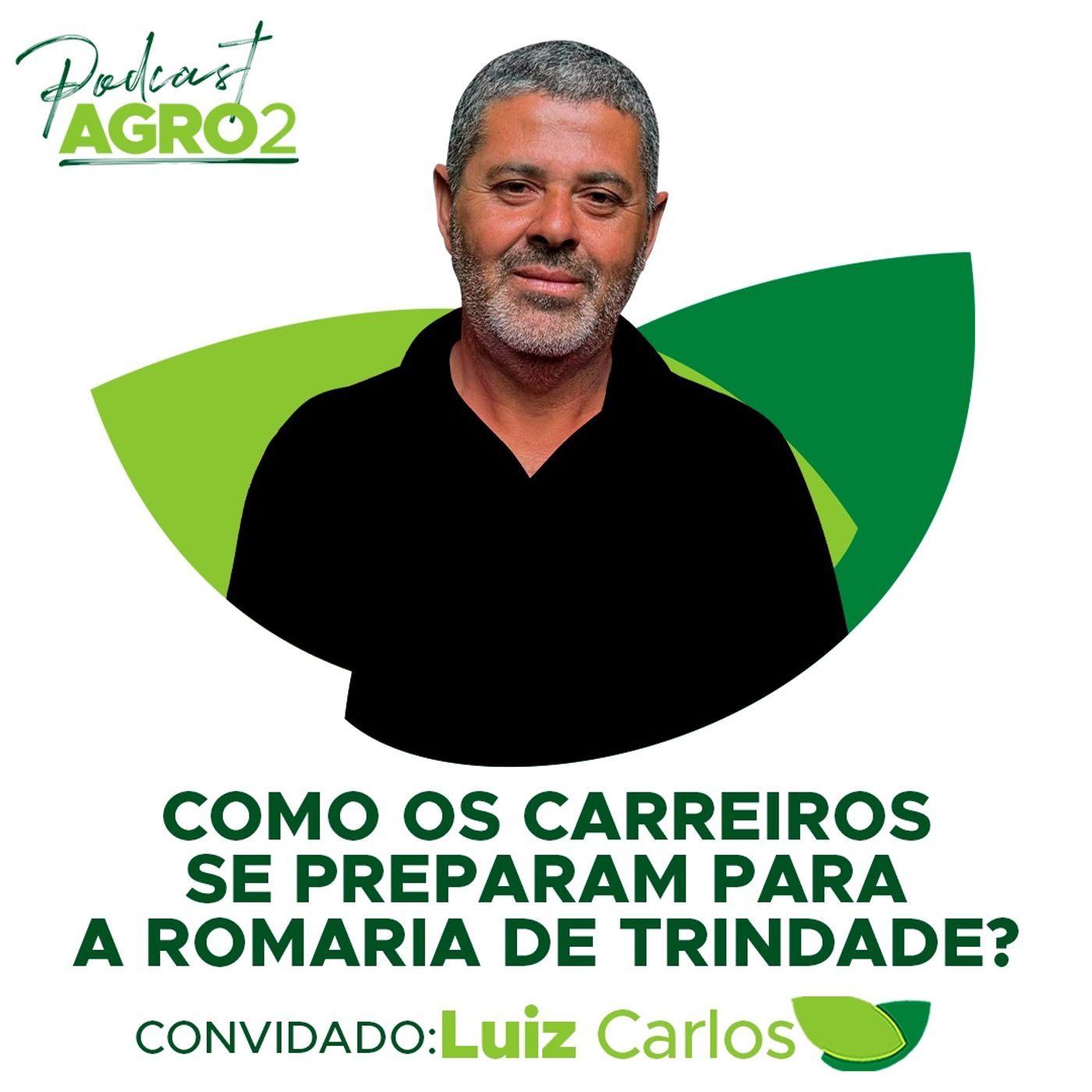 Como os carreiros se preparam para a Romaria do Divino Pai Eterno, em Trindade? #303 episode artwork