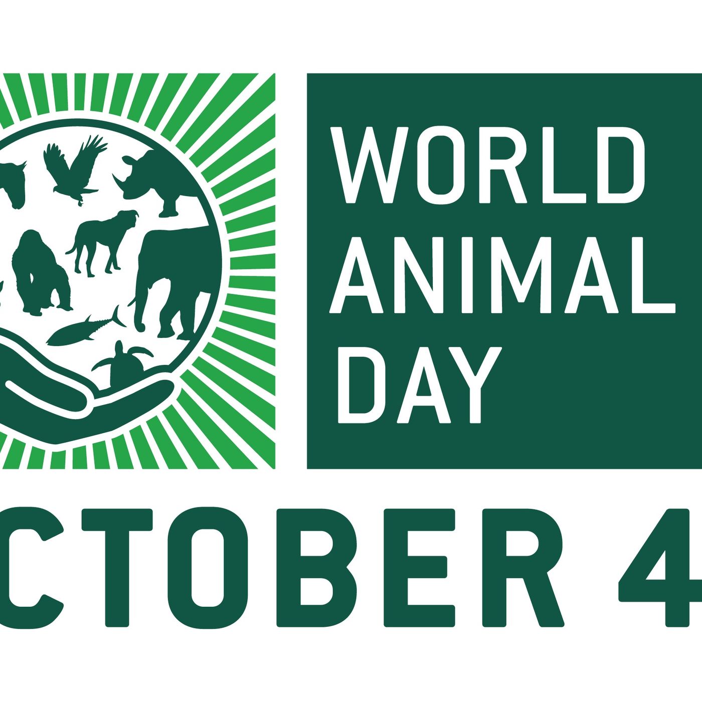 RDA RÁDIO DEFESA DOS ANIMAIS