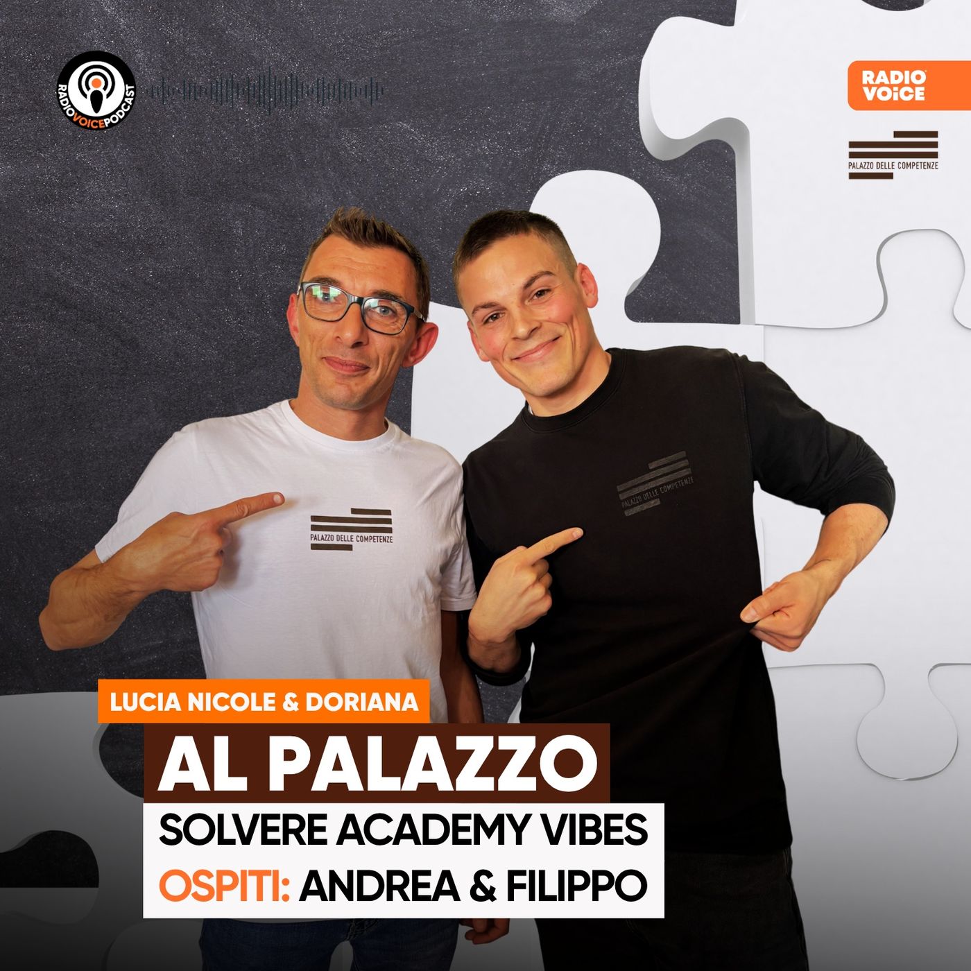 Al Palazzo - Solvere Academy Vibes: ospiti Andrea e Filippo episode artwork