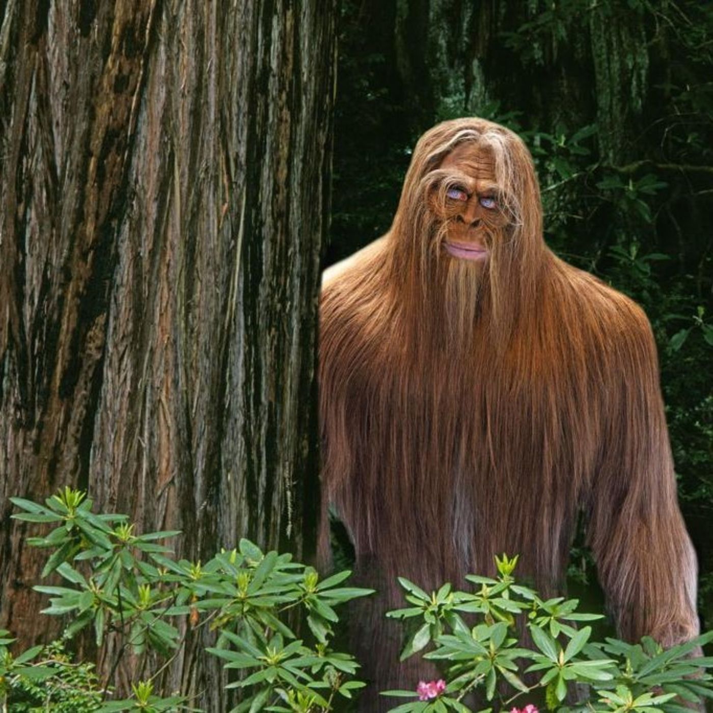 ECBRO BIGFOOT RADIO