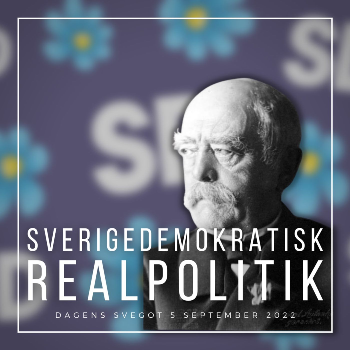 Sverigedemokratisk realpolitik episode artwork