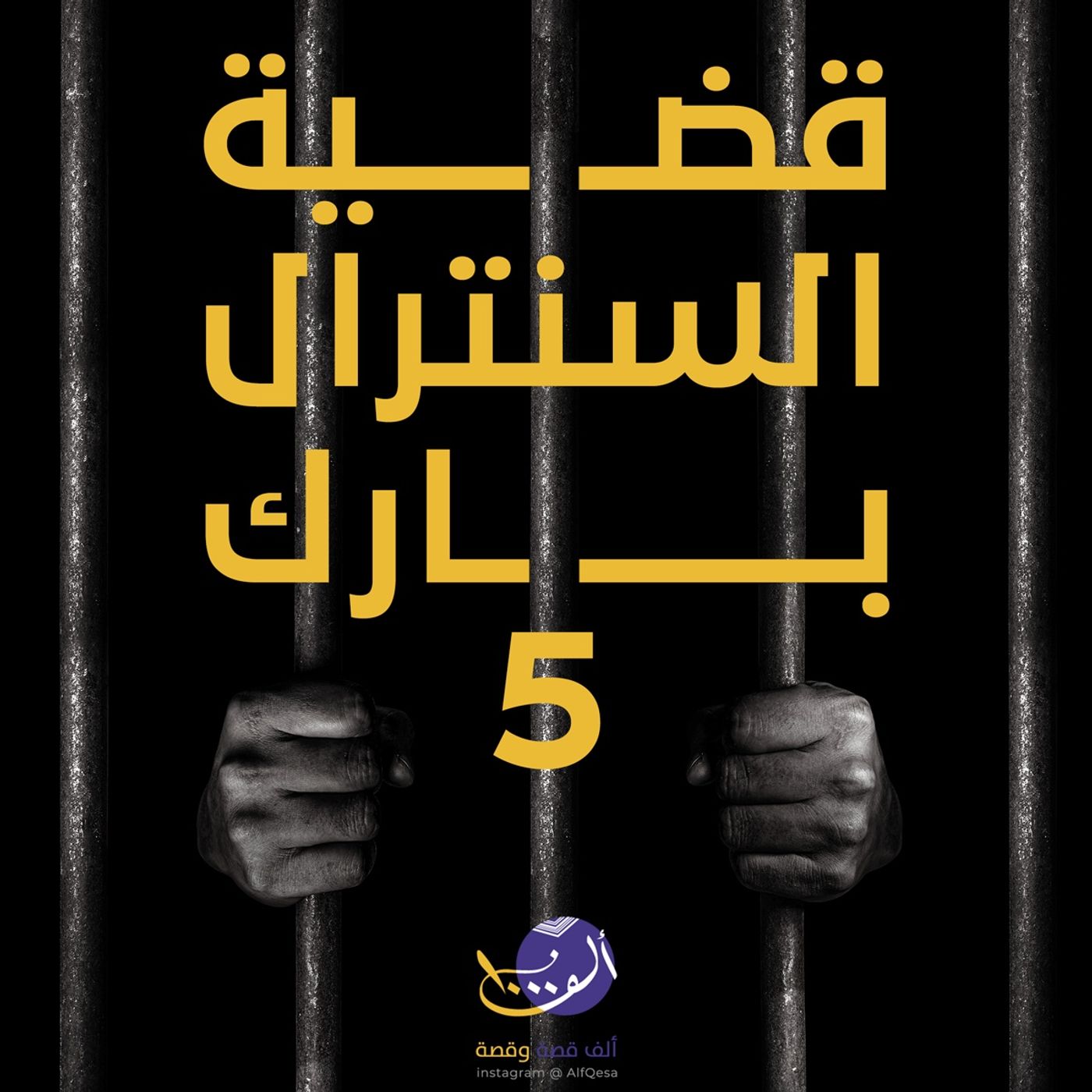 قصة قضية عدائة السنترال بارك 5