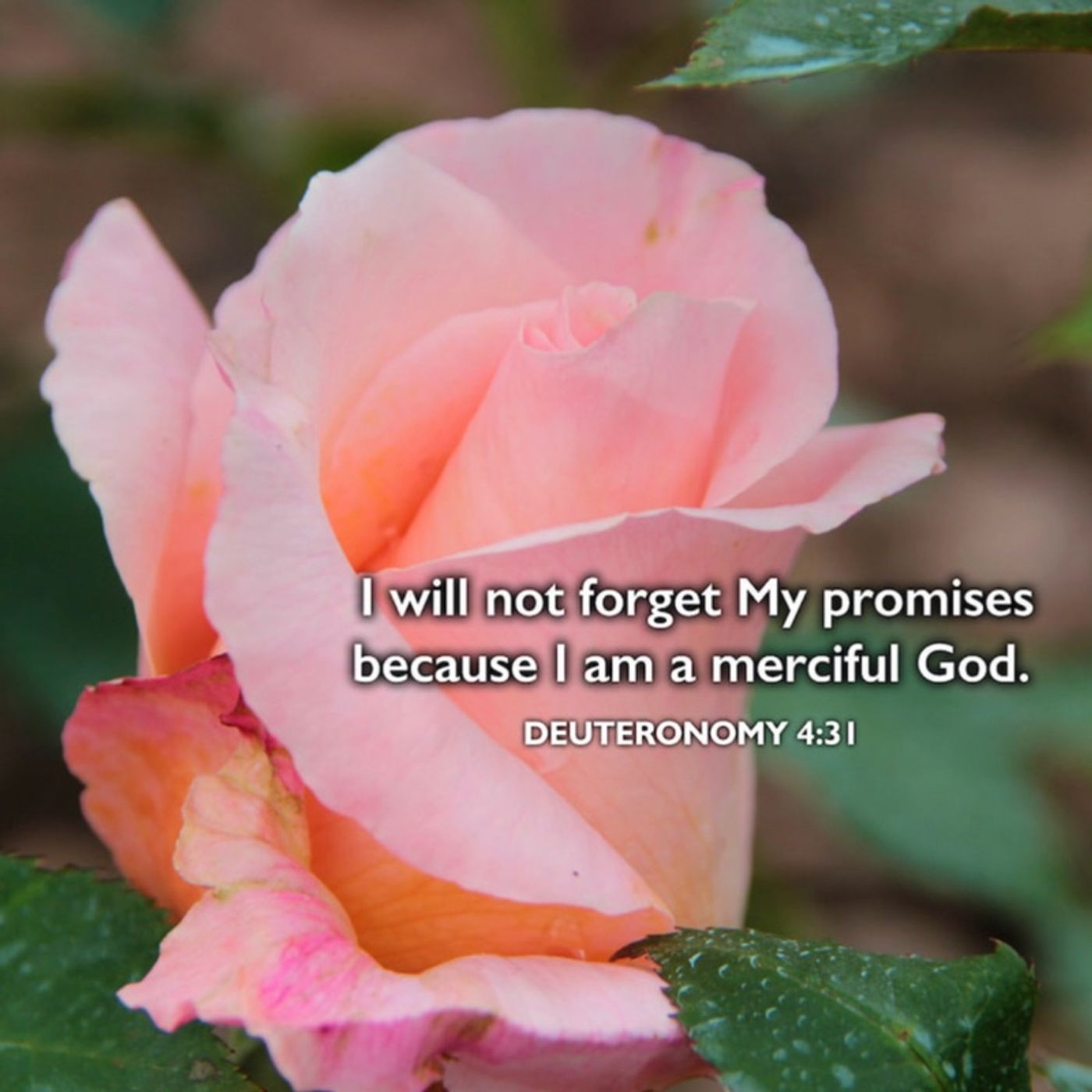 Episode 1482 - Jo’s Place Episode 1482 - Jo’s Place