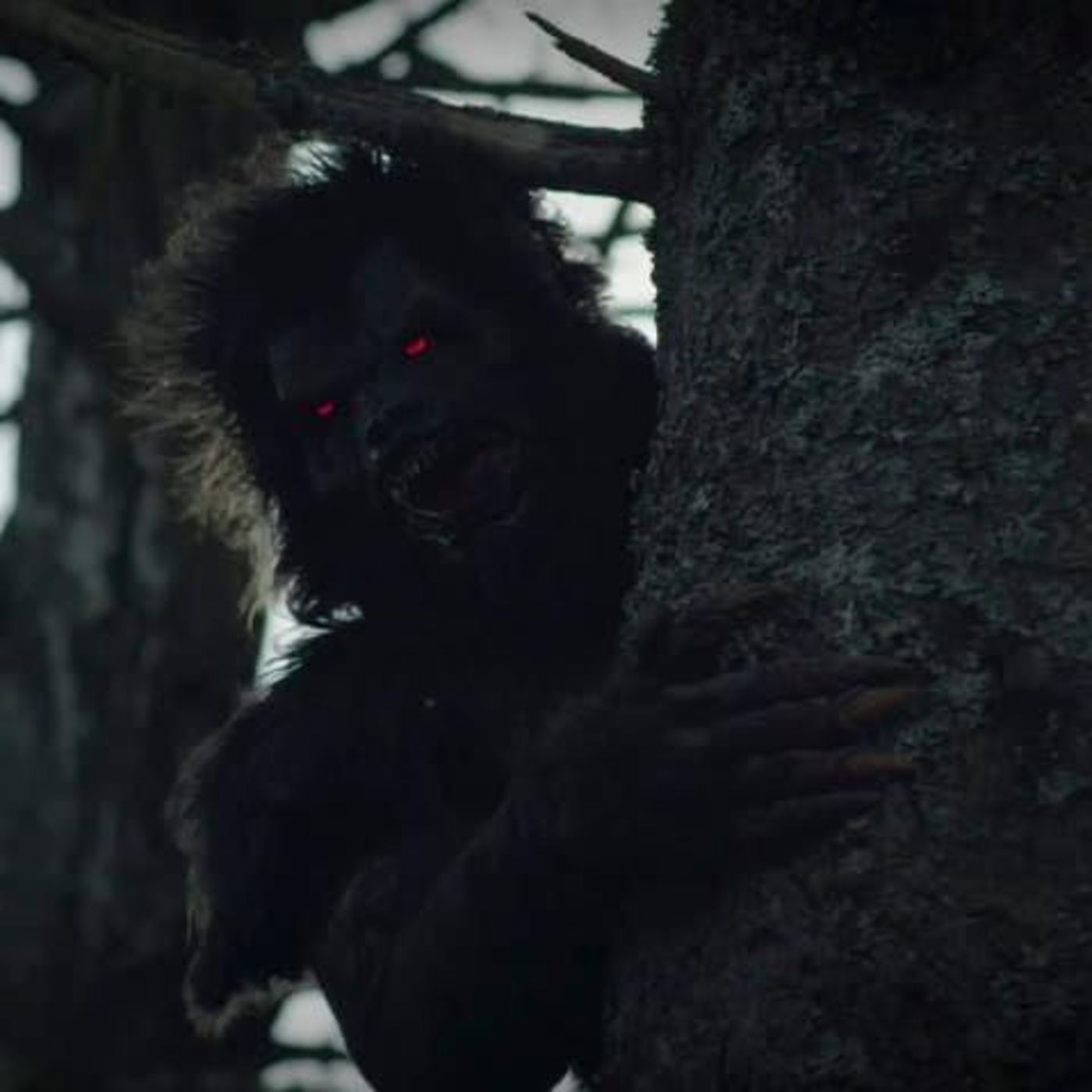 Soft Disclosure: Werewolf, Dogmen & Bigfoot episode artwork