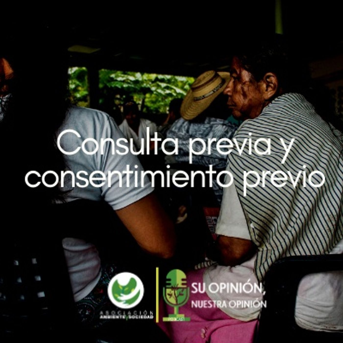 Ambiente y Sociedad