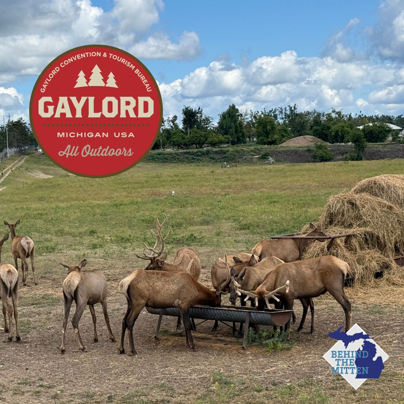 Amy Sherman shares what to do in Gaylord on WILS 1320-AM (Aug. 20, 2026) episode artwork