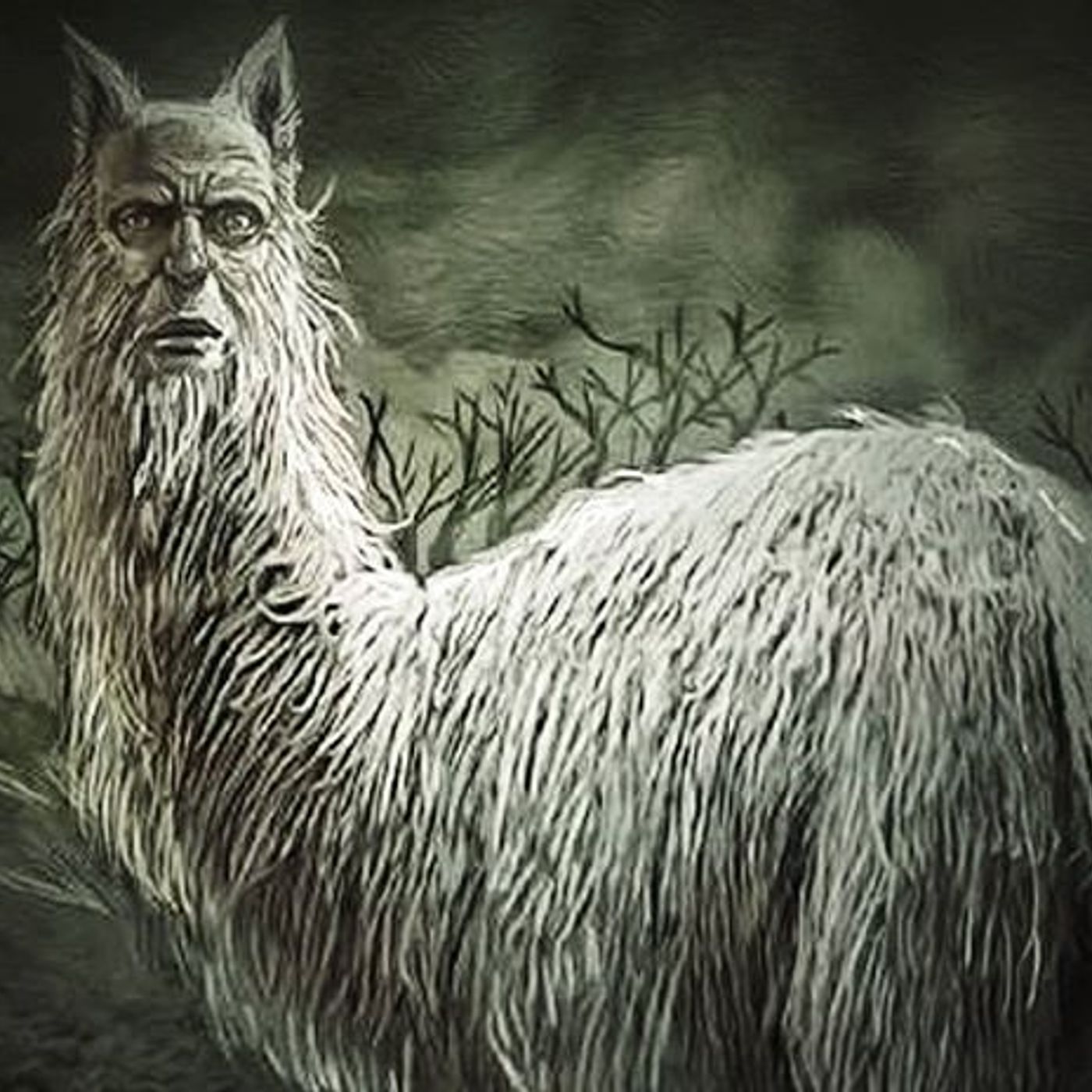 Historias de Miedo Octubre 5 de 2024 AVISTAMIENTOS DE SERES EXTRAÑOS