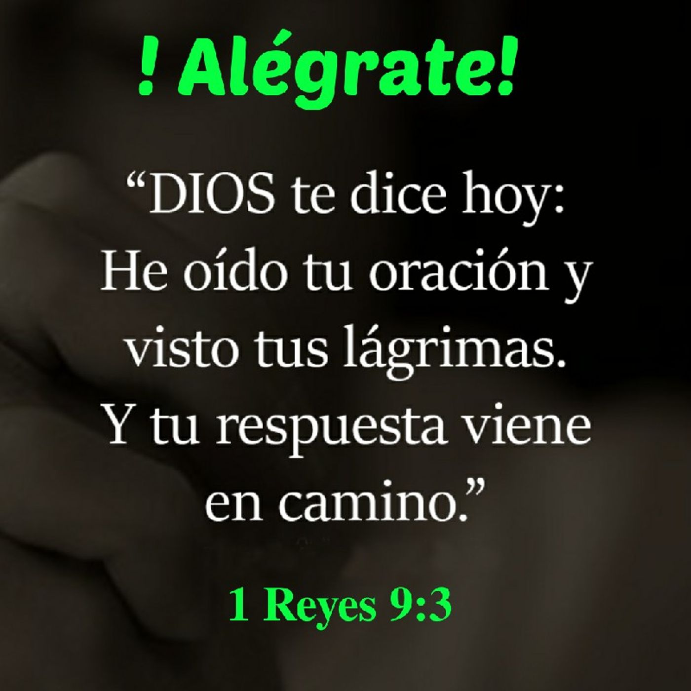 Reflexión Oasis Espiritual.  E. Lizcano
