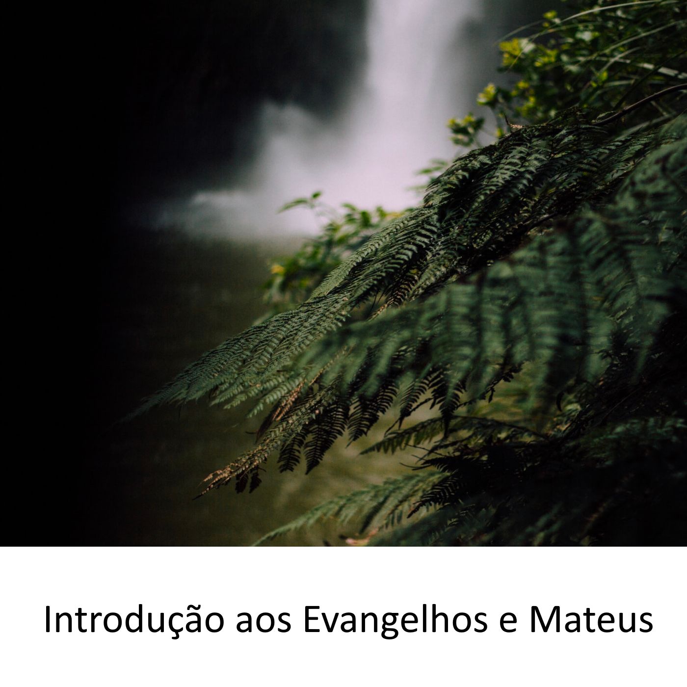 Encontro Com a Palavra