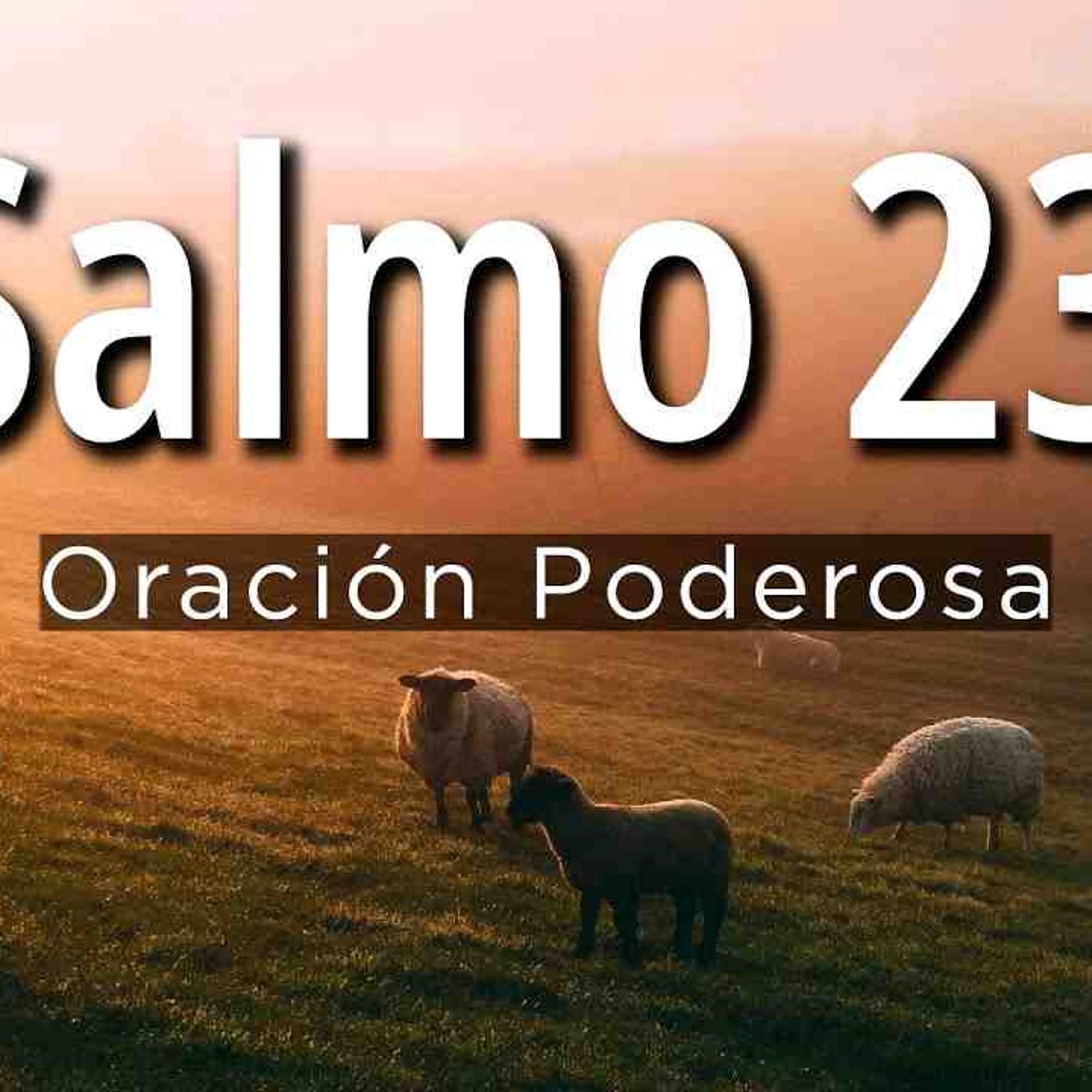 Salmo 23 con hermosa oración _ Jesús es mi pastor _ la Biblia(MP3_160K) episode artwork