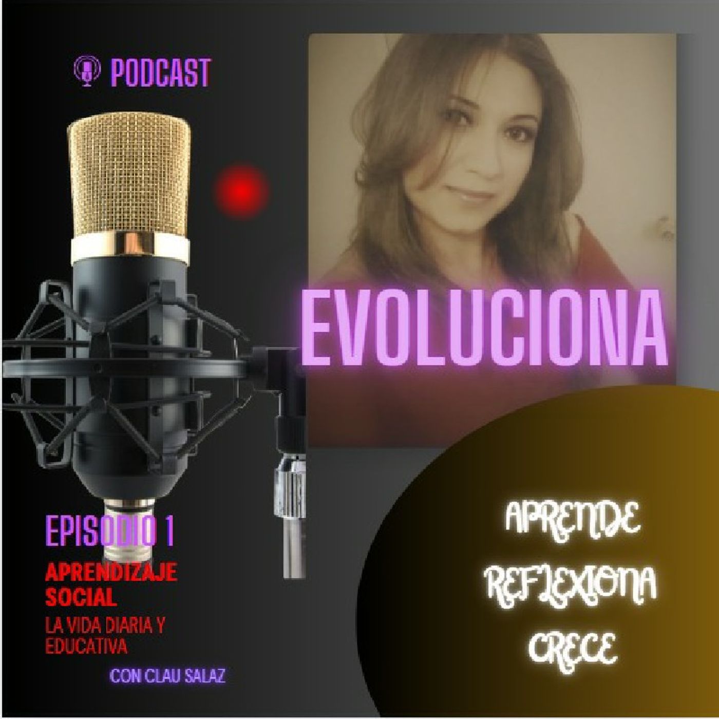 APRENDIZAJE SOCIAL EN LA VIDA DIARIA Y EDUCATIVA episode artwork